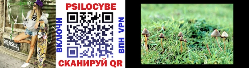 Псилоцибиновые грибы Psilocybe  Троицк 