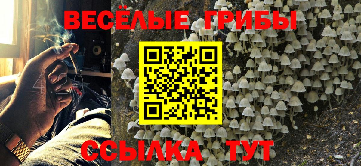 Галлюциногенные грибы GOLDEN TEACHER Троицк